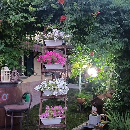 Il Laghetto Bed & Breakfast Castrovillari Bagian luar foto