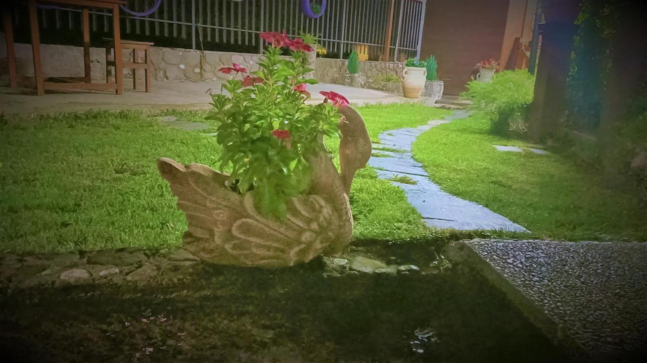 Il Laghetto Bed & Breakfast Castrovillari Bagian luar foto